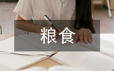 糧食經(jīng)濟講話