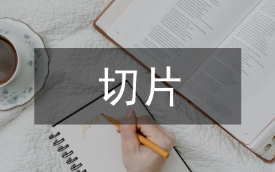 模切片分檢系統(tǒng)的硬件設(shè)計