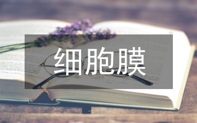 細(xì)胞膜