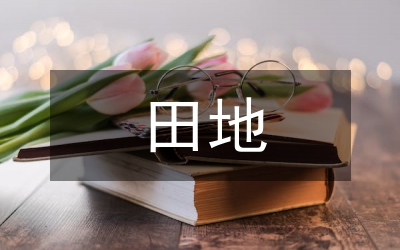 田地區(qū)耕地面積因素管理論文
