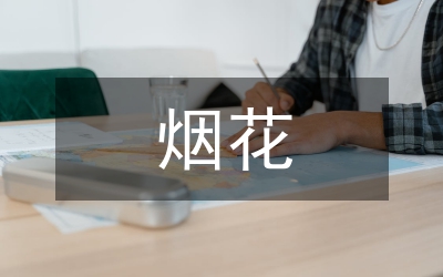 煙花安全監(jiān)管匯報