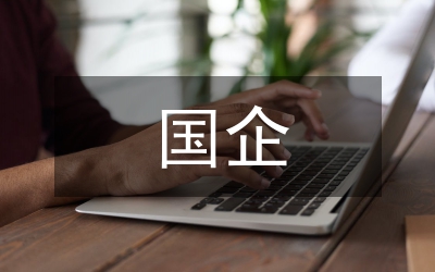 半年國企工作總結(jié)