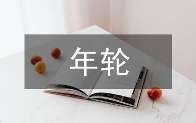 國(guó)土局三年輪審工作計(jì)劃