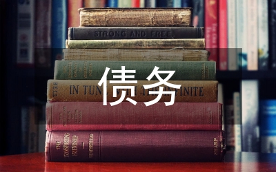 公立醫(yī)院債務(wù)情況匯報