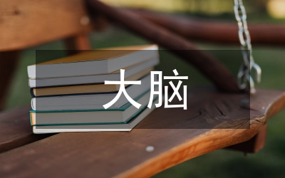 論大腦視覺化聲樂(lè)教學(xué)藝術(shù)