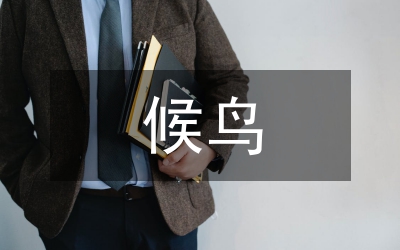 候鳥(niǎo)