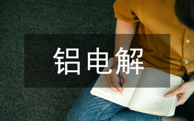 電解工車間見習(xí)心得感悟