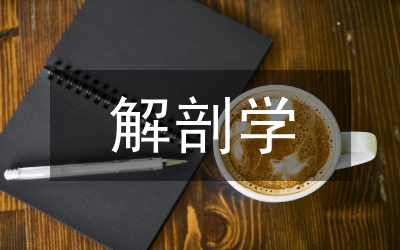 解剖學(xué)教學(xué)中踐行醫(yī)學(xué)倫理教育思考