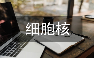 細(xì)胞核的功能