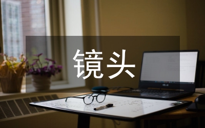 羅拉快跑鏡頭語言管理論文