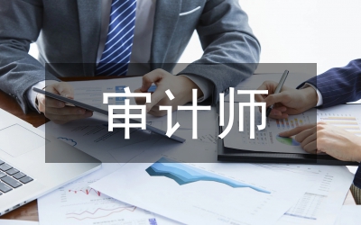 審計(jì)師全年工作匯報(bào)